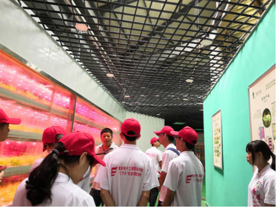 心系三農，讓農業插上科技的翅膀——網絡工程賦能現代農業發展